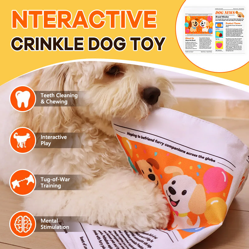 🐾Durable Newspaper Pet Balloon Dog Toy - Crinkle Chew for Boredom Relief
