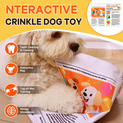 🐾Durable Newspaper Pet Balloon Dog Toy - Crinkle Chew for Boredom Relief