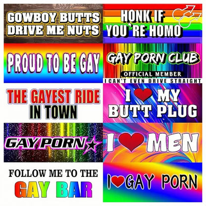 12 Rainbow Pride Magnetic Bumper Stickers