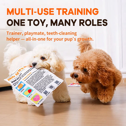 🐾Durable Newspaper Pet Balloon Dog Toy - Crinkle Chew for Boredom Relief
