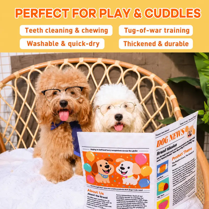 🐾Durable Newspaper Pet Balloon Dog Toy - Crinkle Chew for Boredom Relief