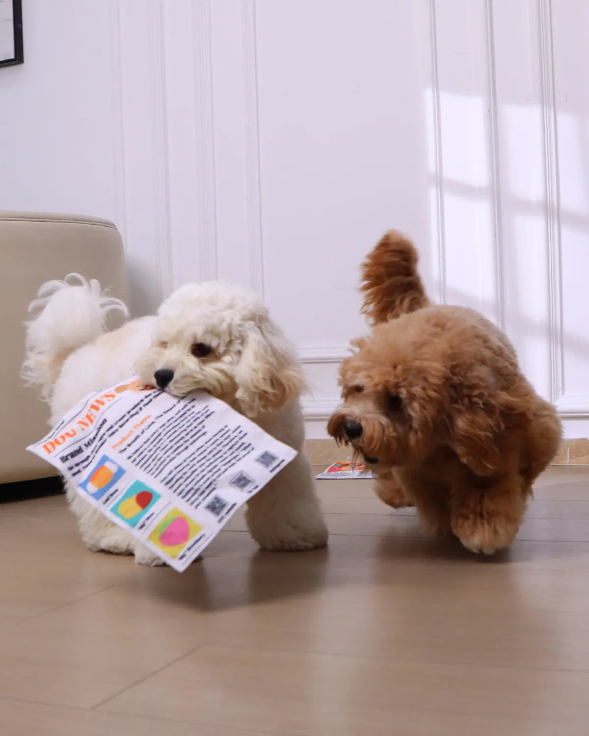 Dog Newspaper Durable Chew Crinkle Toy