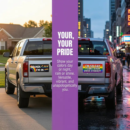 12 Rainbow Pride Magnetic Bumper Stickers