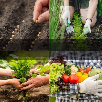 🌱35 Variety Heirloom Seed Vault Kit | 16,000+ Non-GMO Vegetable Seeds