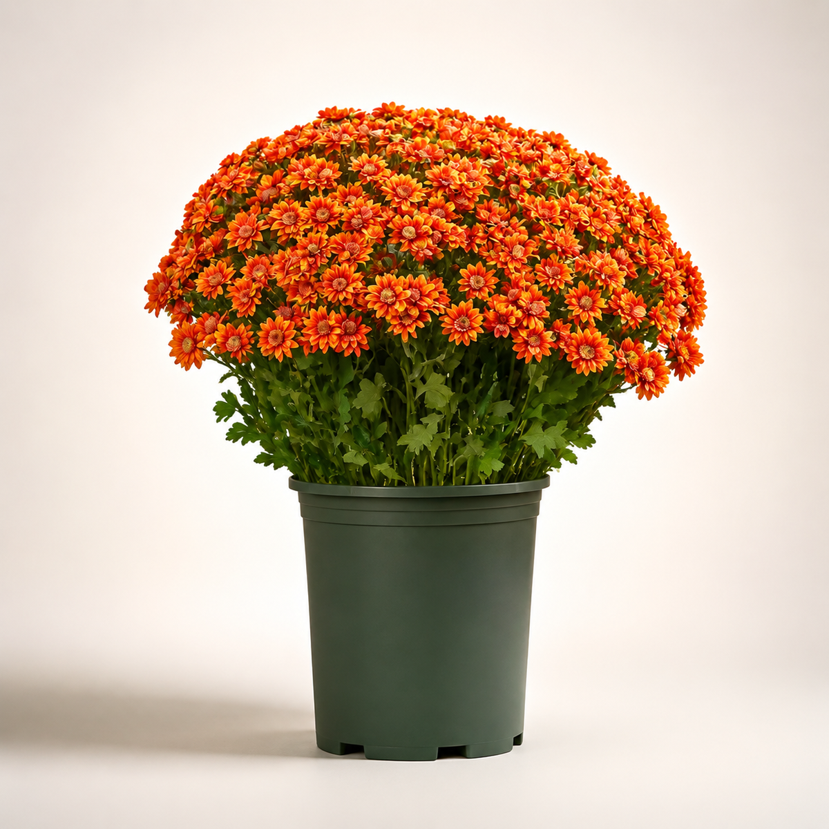 🌼 Artificial Outdoor Sunset Mums Flowers - UV resistant, Waterproof, Windproof