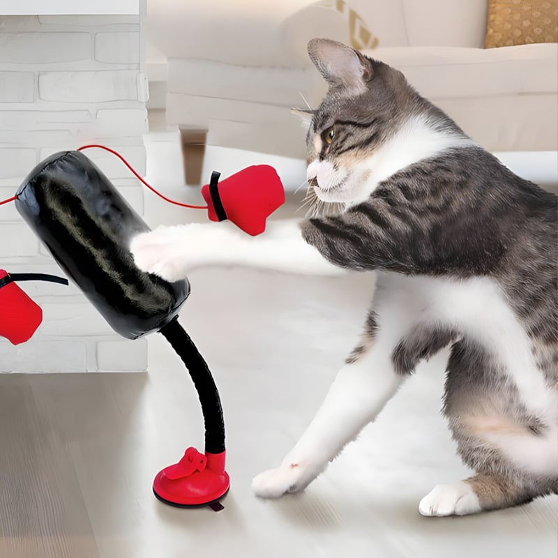 🥊 Interactive Cat Boxing Toy – Catnip Punching Bag with Strong Suction Base🐱