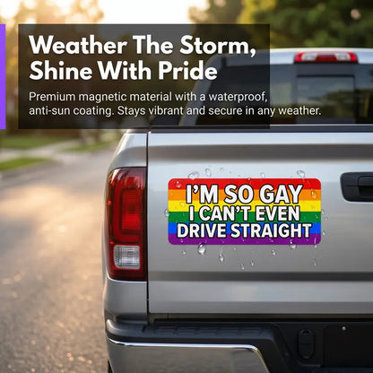 12 Rainbow Pride Magnetic Bumper Stickers
