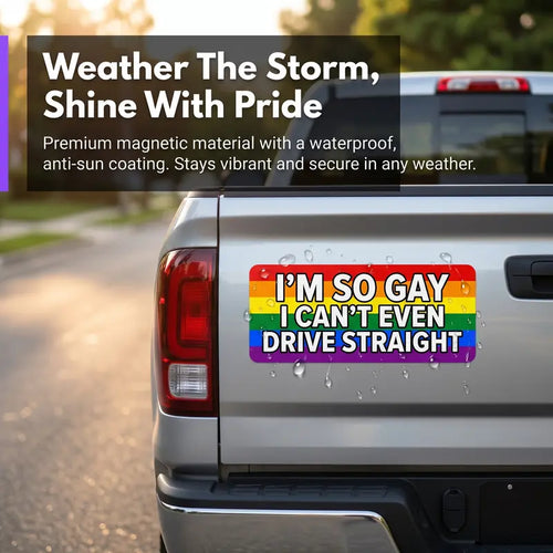 12 Rainbow Pride Magnetic Bumper Stickers