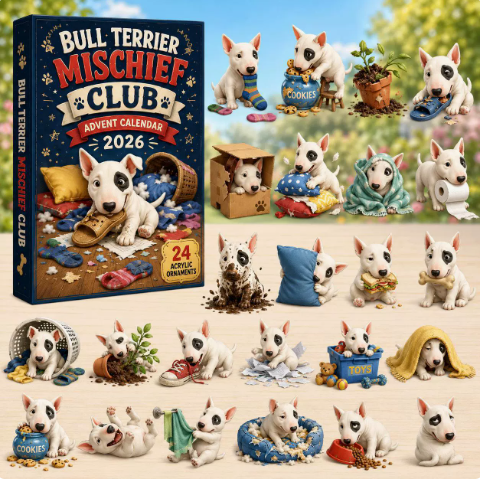 🎄Last Day 49% OFF –✨Everyday Bull Terrier Advent Calendar 2026 - 24-Day Festive Countdown