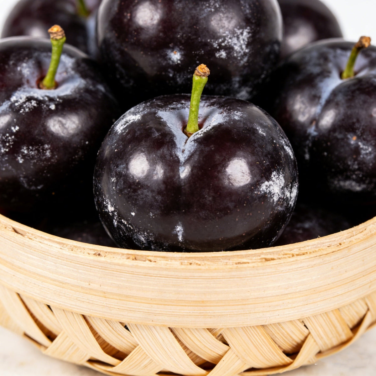 🌱Plum Growing Kit – Sweet Fruit Tree for Home Garden