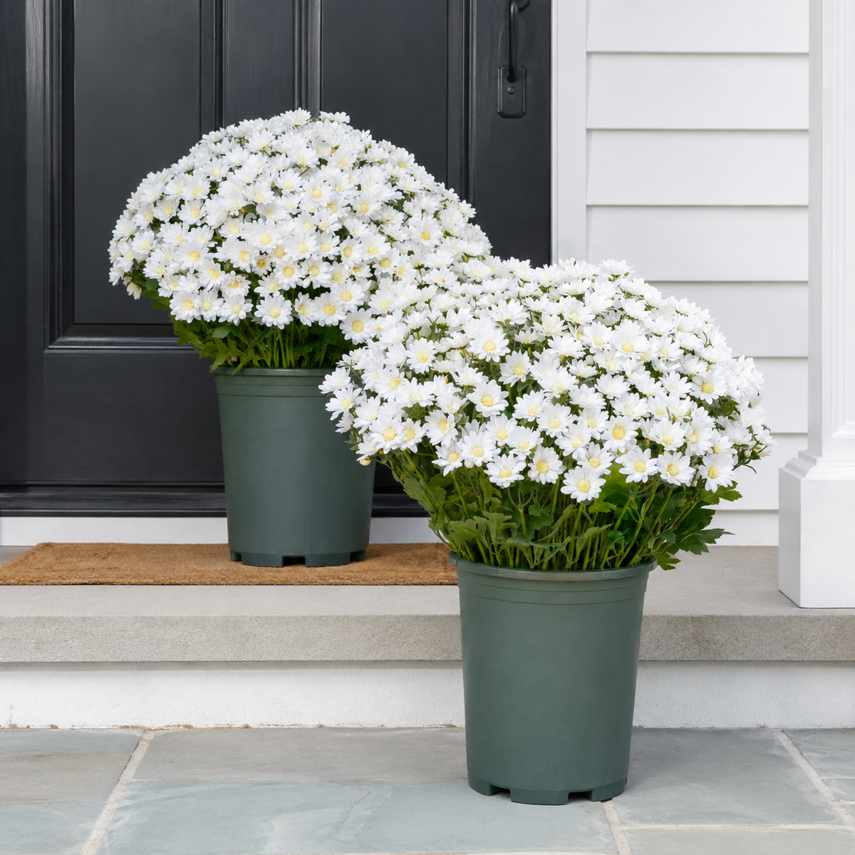 🌼 Artificial Outdoor Sunset Mums Flowers - UV resistant, Waterproof, Windproof