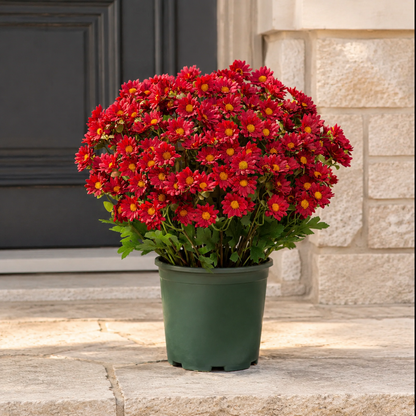🌼 Artificial Outdoor Sunset Mums Flowers - UV resistant, Waterproof, Windproof