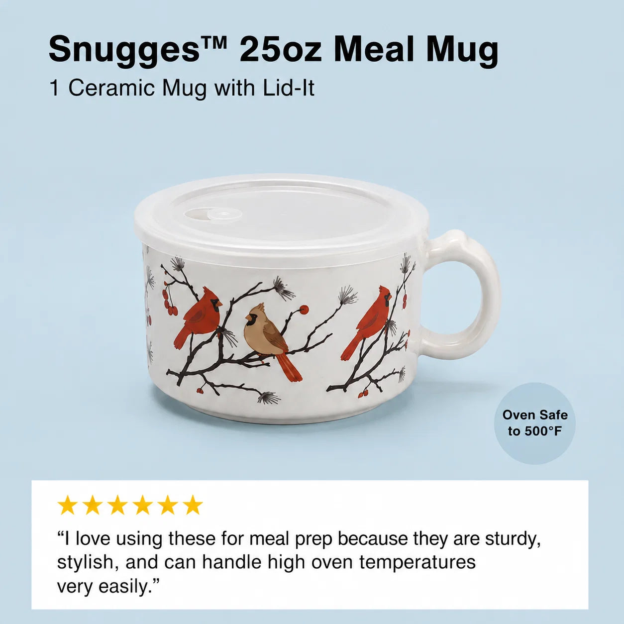 The Temp-tations 25oz Meal Mug Set