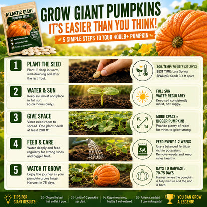 ⏰Limited Stock 49% OFF🎃Grow Your Own Giant Pumpkins – Atlantic Giant Heirloom Seeds