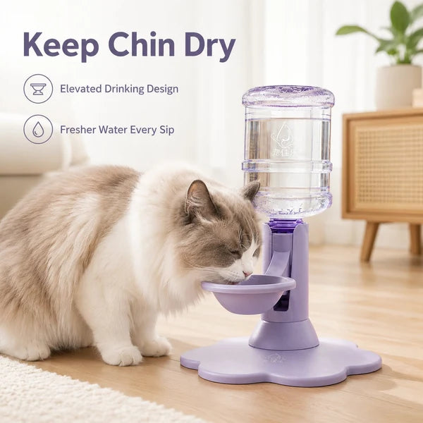 Gravity Cat Water Dispenser Stand