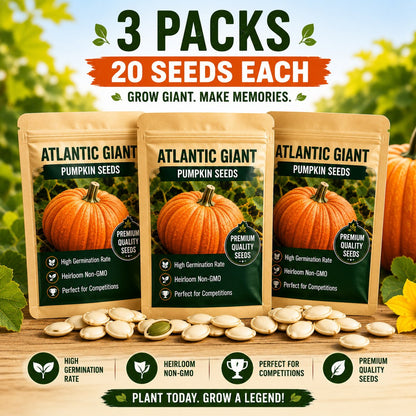 ⏰Limited Stock 49% OFF🎃Grow Your Own Giant Pumpkins – Atlantic Giant Heirloom Seeds
