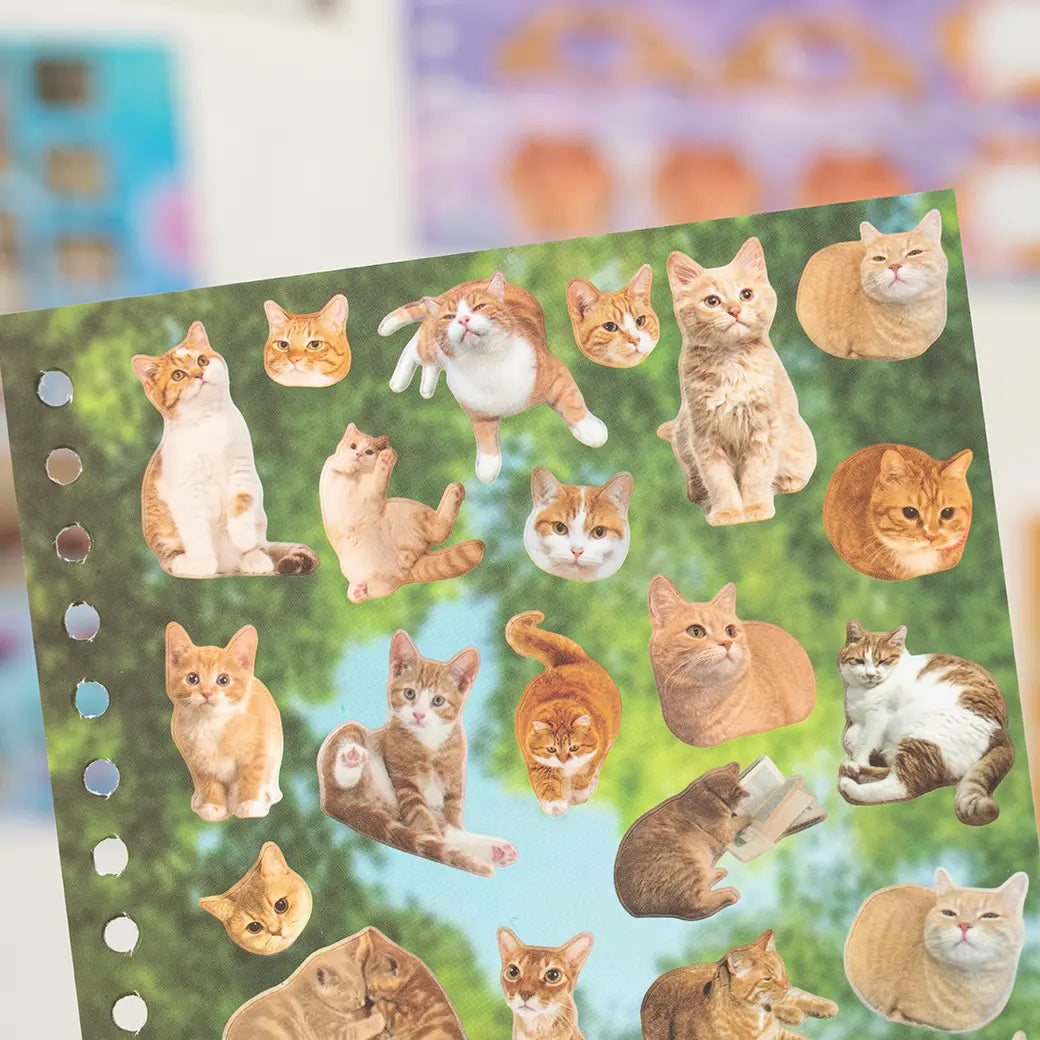 Cute Pet Sticker Book, 30 Sheets Cat & Dog