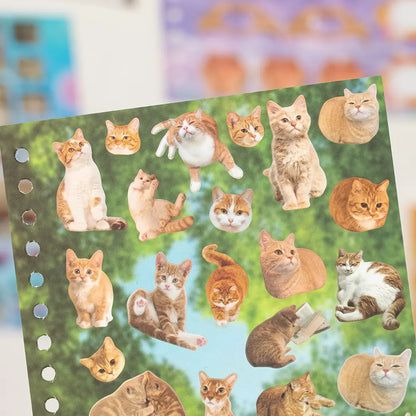 Cute Pet Sticker Book, 30 Sheets Cat & Dog