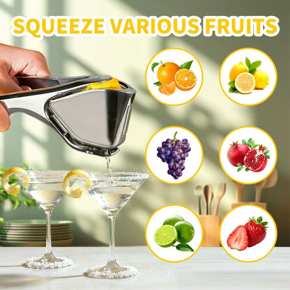 Arel Stainless Steel Citrus Squeezer for Fresh Juice