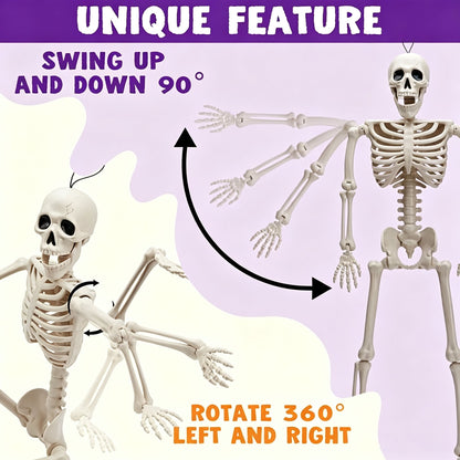 💀 Full-Body Posable White Plastic Human Skeleton Suitable for Halloween