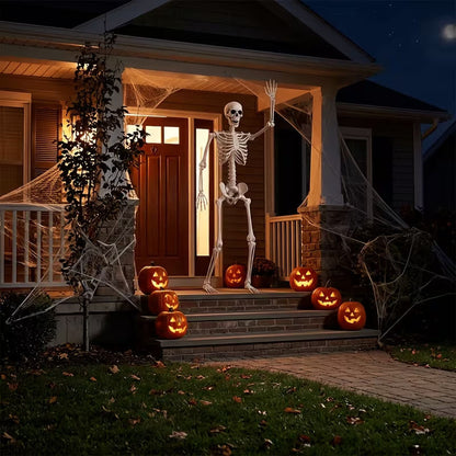 💀 Full-Body Posable White Plastic Human Skeleton Suitable for Halloween