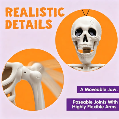 💀 Full-Body Posable White Plastic Human Skeleton Suitable for Halloween